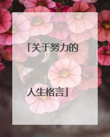 关于努力的人生格言