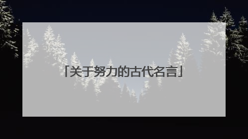 关于努力的古代名言