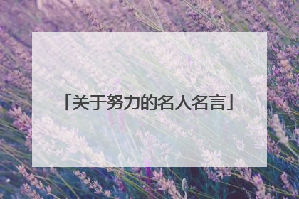 关于努力的名人名言