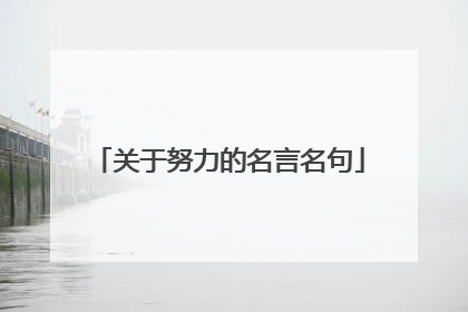 关于努力的名言名句