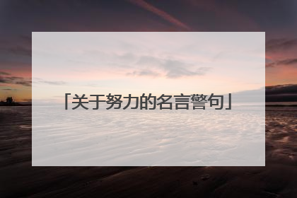 关于努力的名言警句