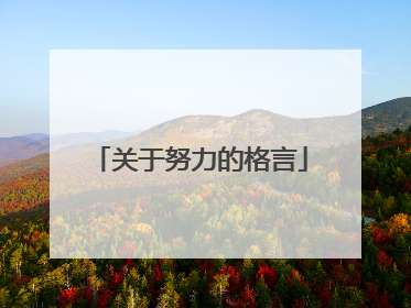 关于努力的格言