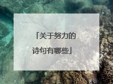 关于努力的诗句有哪些