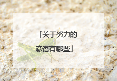 关于努力的谚语有哪些