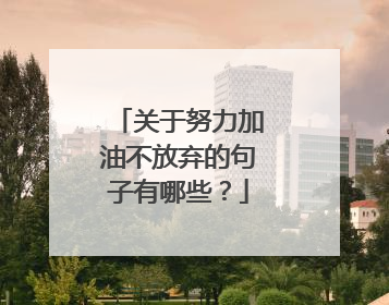 关于努力加油不放弃的句子有哪些?