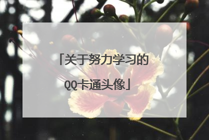 关于努力学习的QQ卡通头像