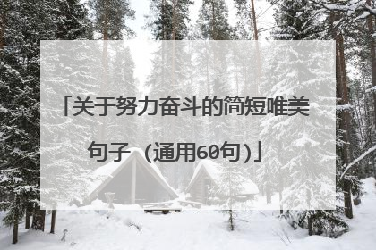 关于努力奋斗的简短唯美句子 (通用60句)