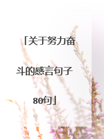关于努力奋斗的感言句子80句