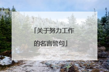 关于努力工作的名言警句