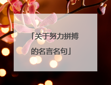 关于努力拼搏的名言名句