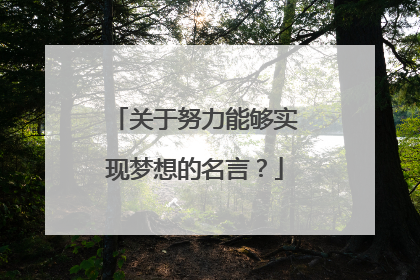 关于努力能够实现梦想的名言?