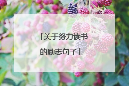 关于努力读书的励志句子