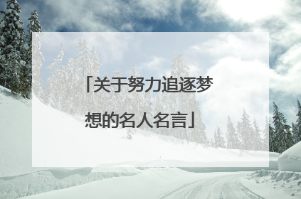 关于努力追逐梦想的名人名言
