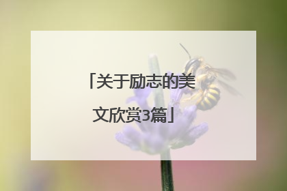 关于励志的美文欣赏3篇