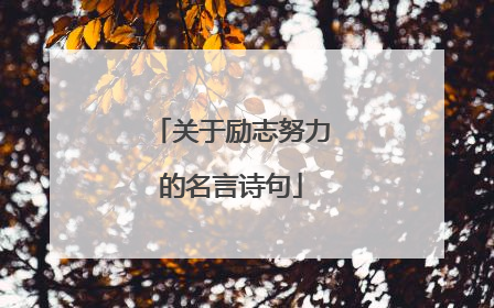 关于励志努力的名言诗句