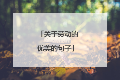 关于劳动的优美的句子