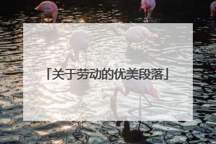 关于劳动的优美段落