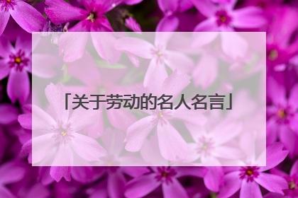 关于劳动的名人名言