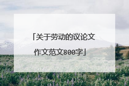 关于劳动的议论文作文范文800字
