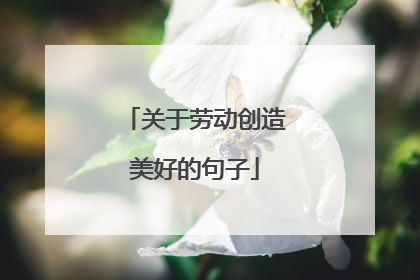 关于劳动创造美好的句子