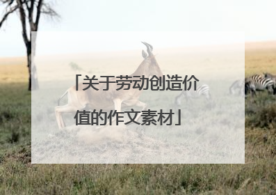 关于劳动创造价值的作文素材