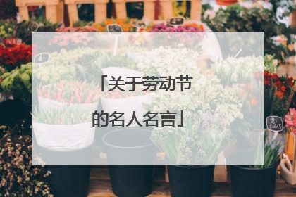 关于劳动节的名人名言