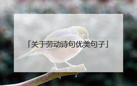 关于劳动诗句优美句子