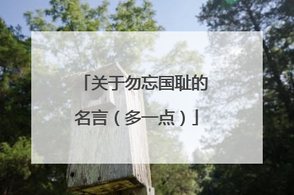 关于勿忘国耻的名言（多一点）