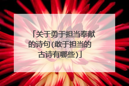 关于勇于担当奉献的诗句(敢于担当的古诗有哪些)