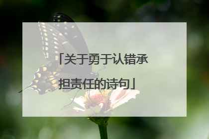 关于勇于认错承担责任的诗句