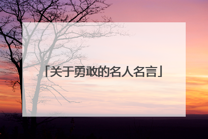 关于勇敢的名人名言