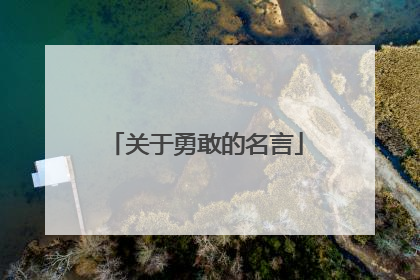 关于勇敢的名言