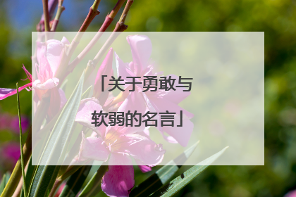 关于勇敢与软弱的名言