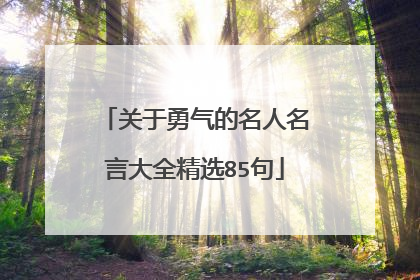关于勇气的名人名言大全精选85句