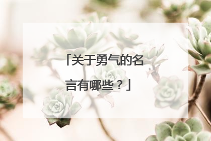 关于勇气的名言有哪些?