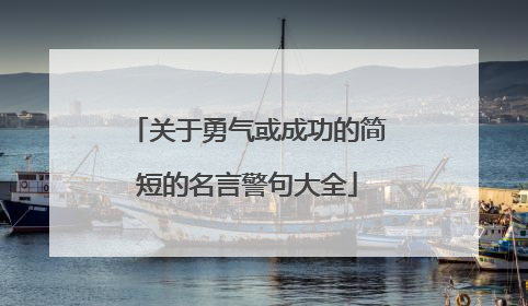 关于勇气或成功的简短的名言警句大全