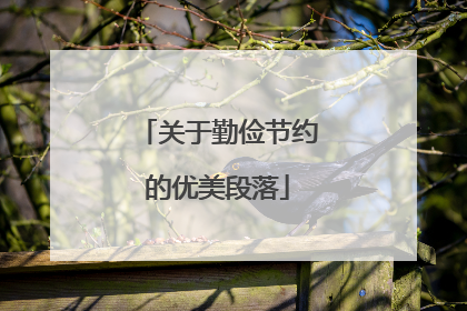 关于勤俭节约的优美段落