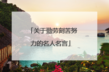关于勤劳刻苦努力的名人名言