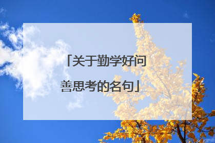 关于勤学好问善思考的名句