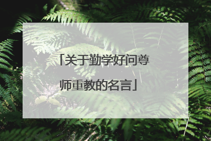 关于勤学好问尊师重教的名言