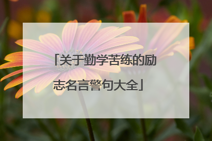 关于勤学苦练的励志名言警句大全