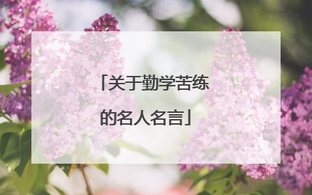 关于勤学苦练的名人名言