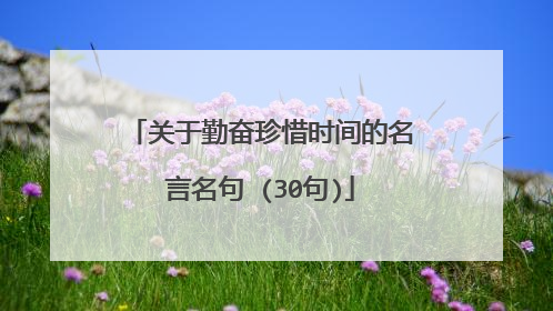 关于勤奋珍惜时间的名言名句 (30句)