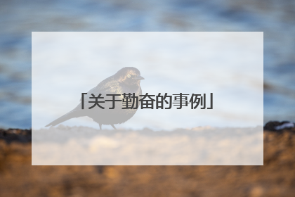 关于勤奋的事例