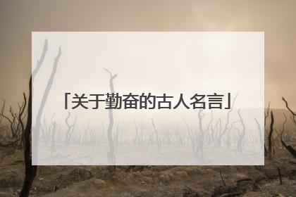 关于勤奋的古人名言