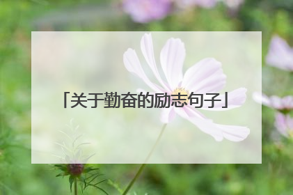 关于勤奋的励志句子