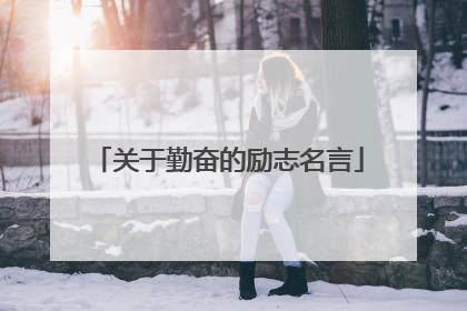 关于勤奋的励志名言