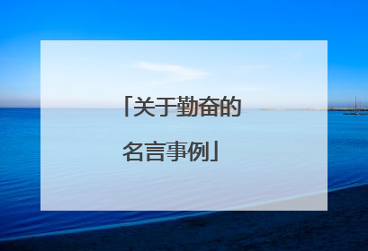 关于勤奋的名言事例