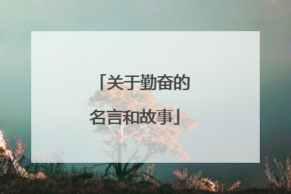 关于勤奋的名言和故事