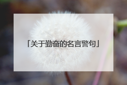 关于勤奋的名言警句